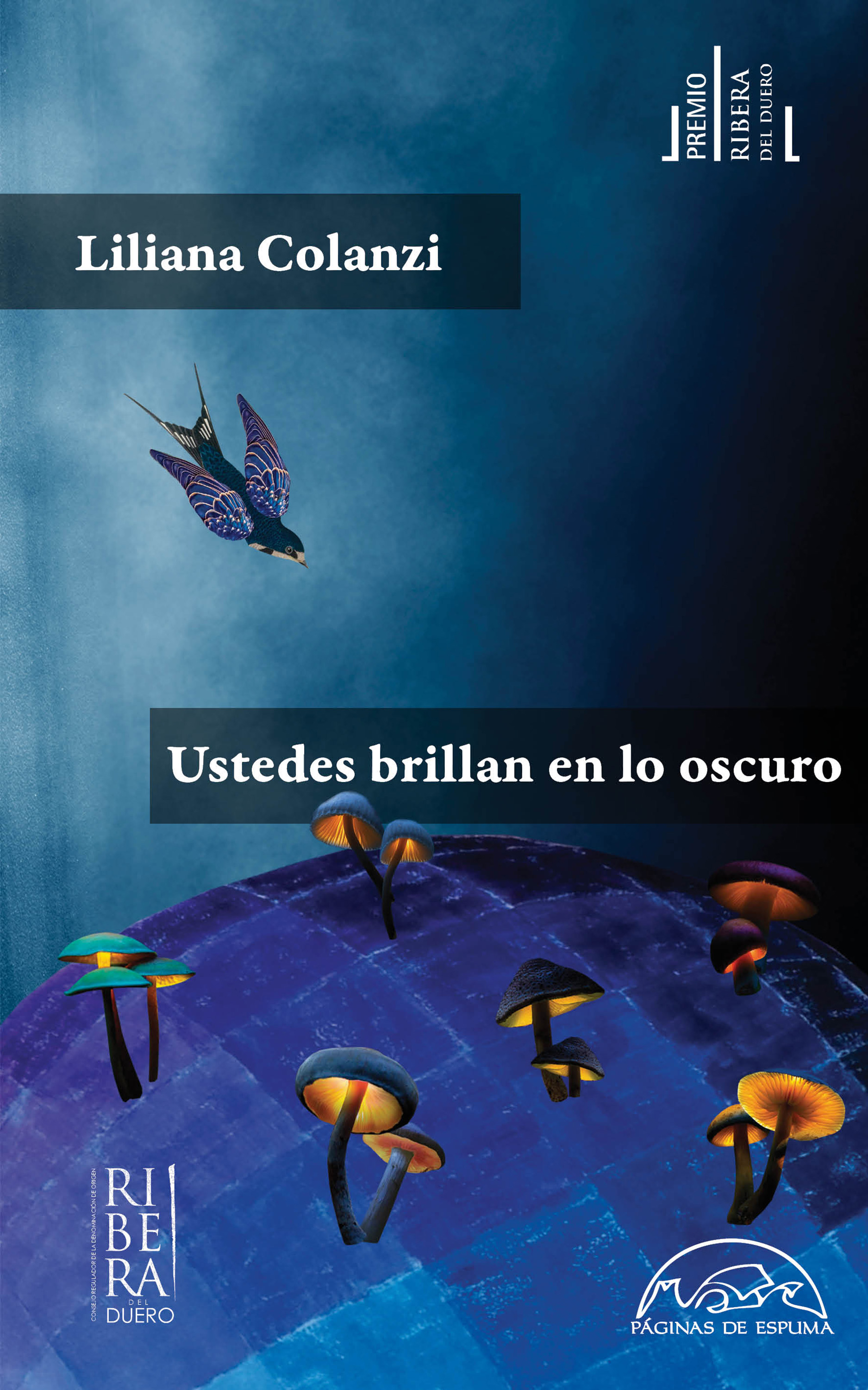 Ustedes brillan en lo oscuro, von Lilina Colanzi. 