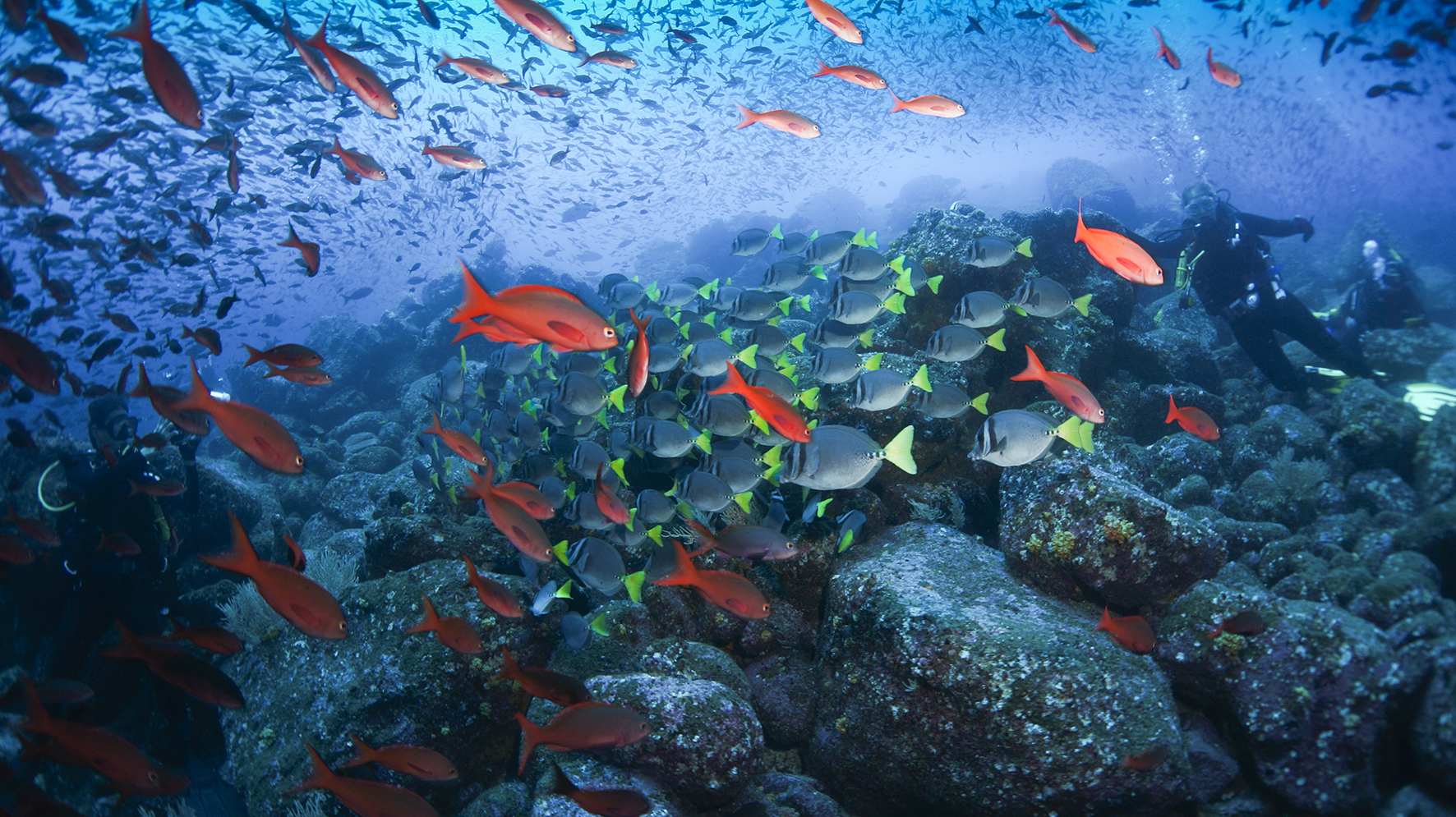 Islas Galápagos: Patrimonio Natural de la Humanidad