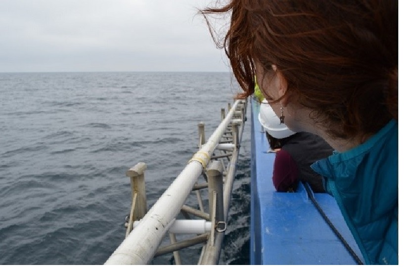 Los efectos del cambio climático sobre el agua y la biodiversidad: herramientas para mitigarlo