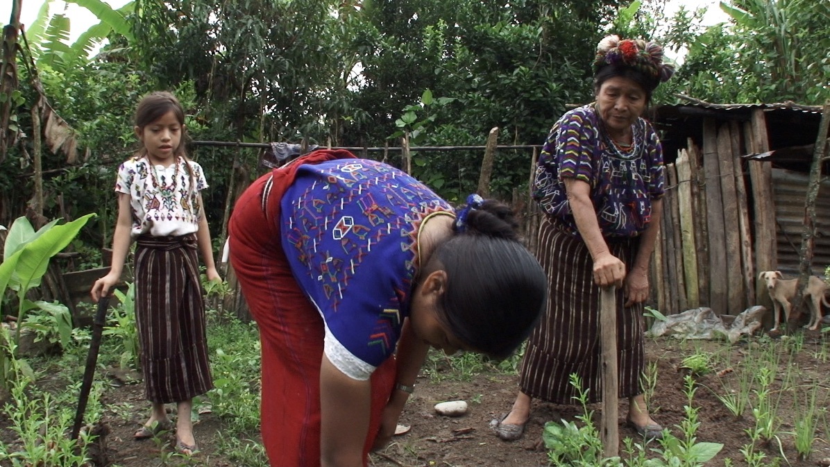 Extraño rumor de la tierra cuando atraviesa un surco