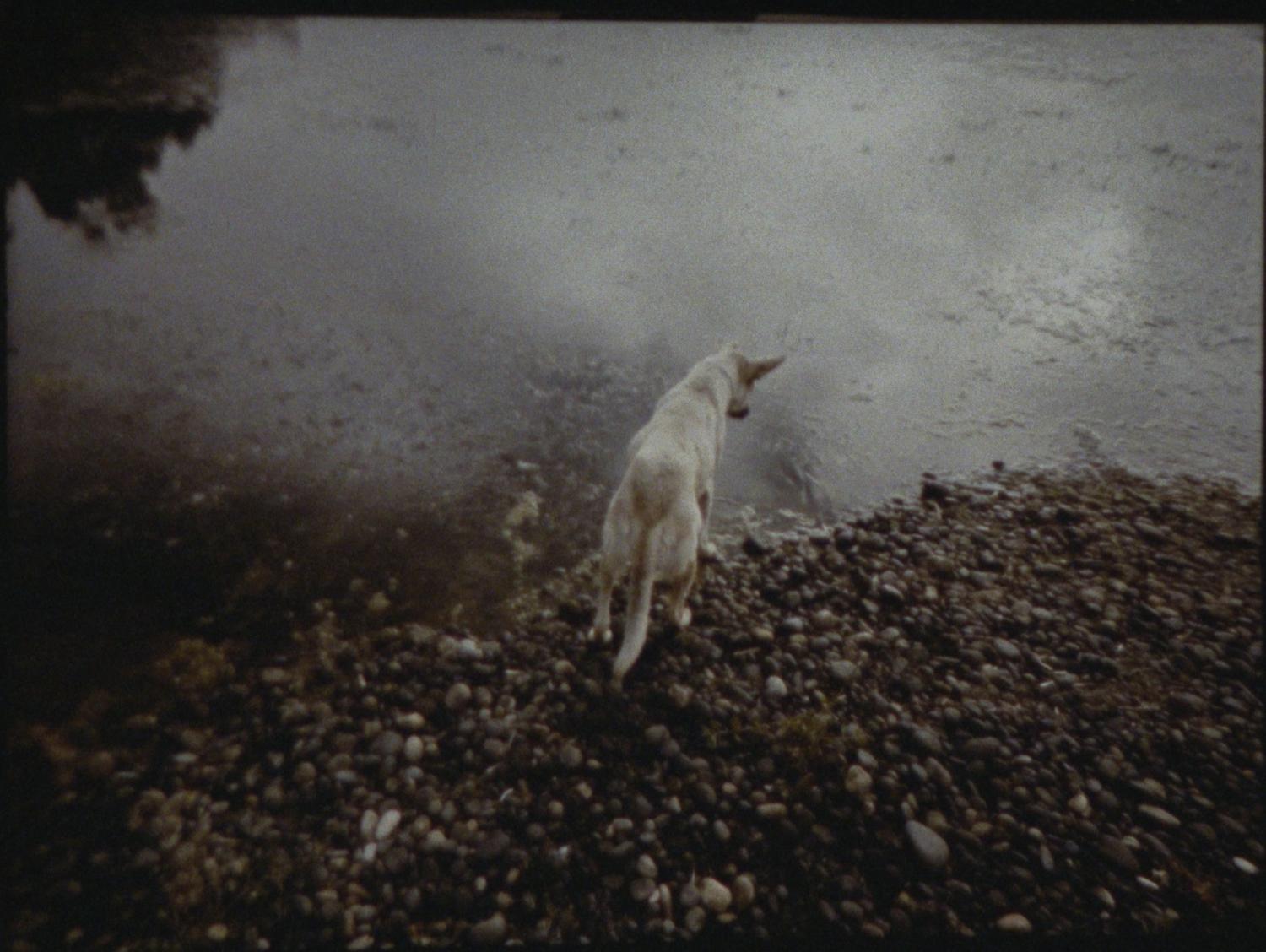 La Partida de las Imágenes