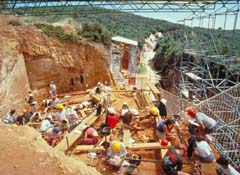Los orígenes de la humanidad y los yacimientos de Atapuerca