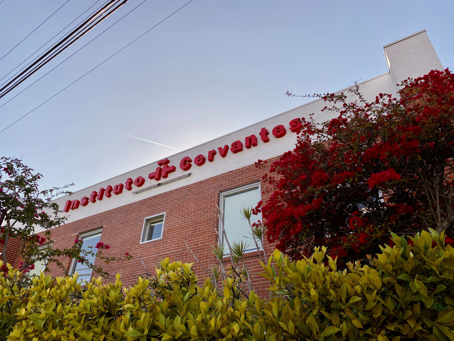 ICLA 2025. Un año de cine (y lengua)