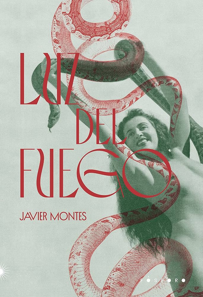 Mujeres anuladas: charla con el escritor español Javier Montes sobre el libro «Luz del Fuego»