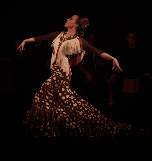 Anochecer flamenco