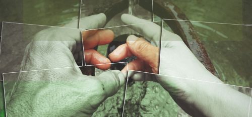 Tag der Bibliotheken: Literatur in Bewegung