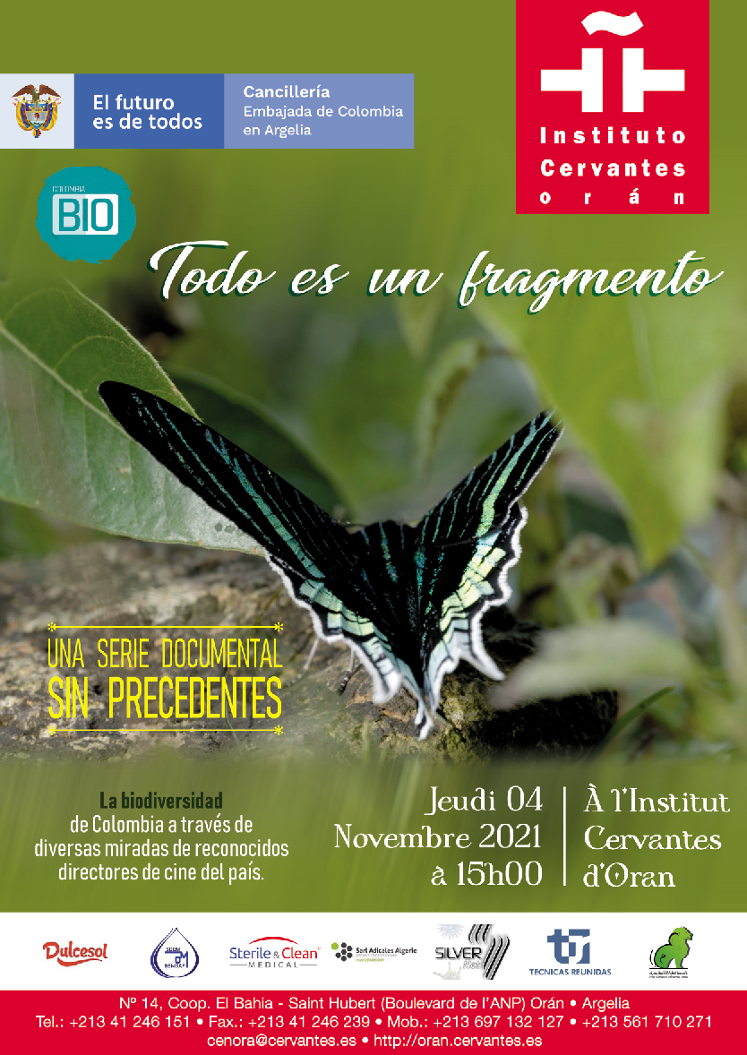 Todo es un fragmento