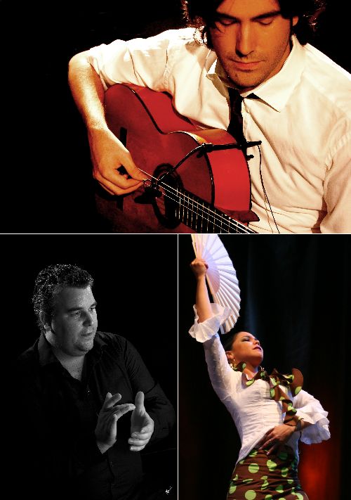 El arte de vivir el Flamenco