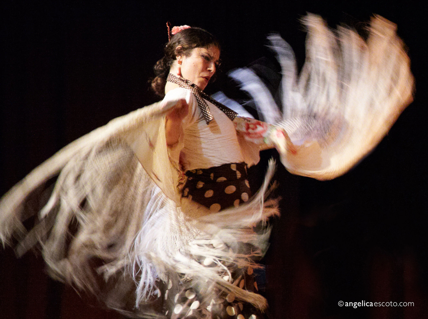 Kick off Chicago Flamenco Festival 2020