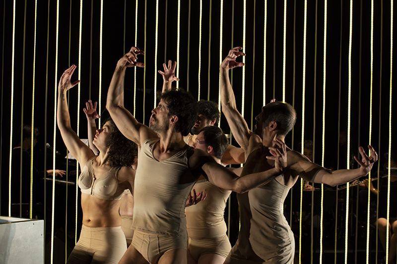El festín de los cuerpos, von Danza Mobile