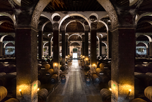 Cata de vinos