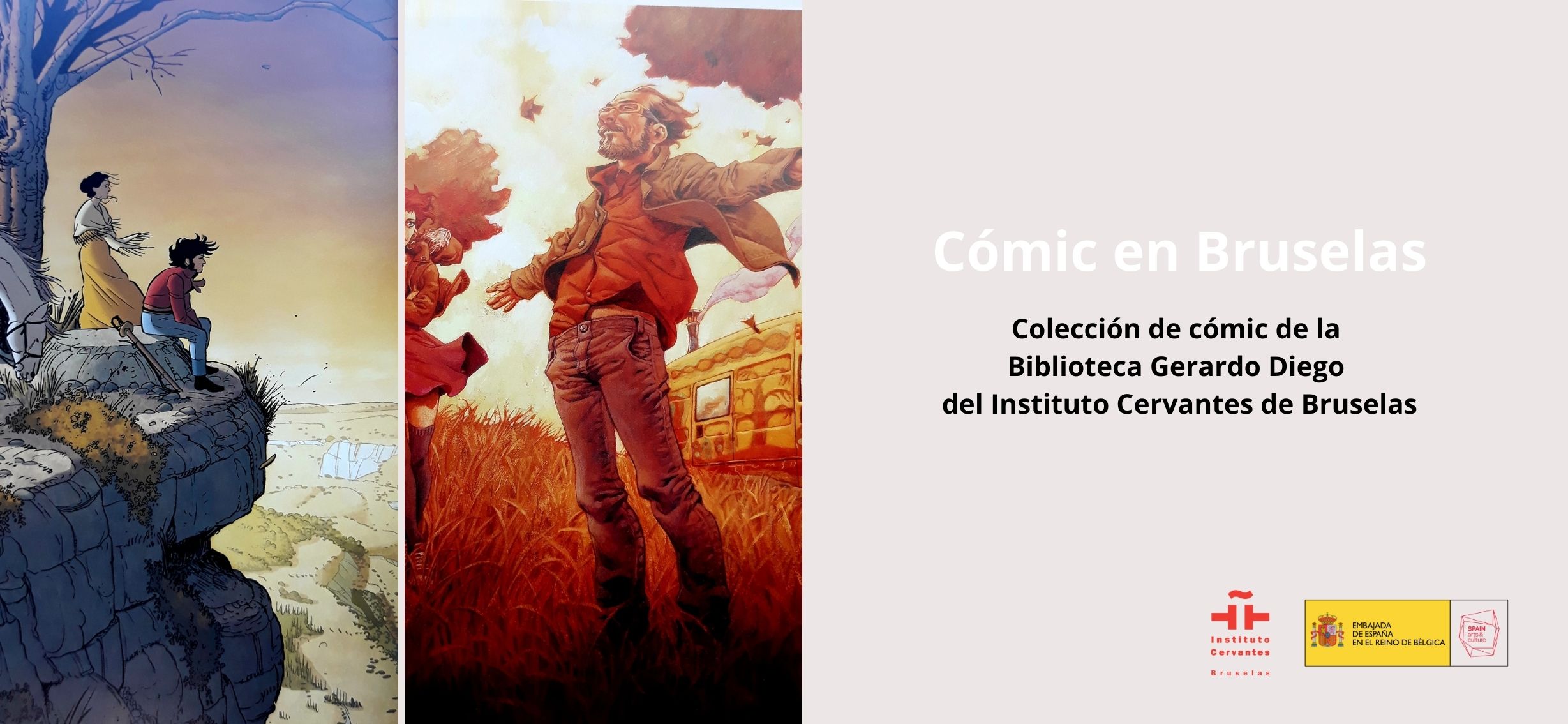 Cómic en Bruselas