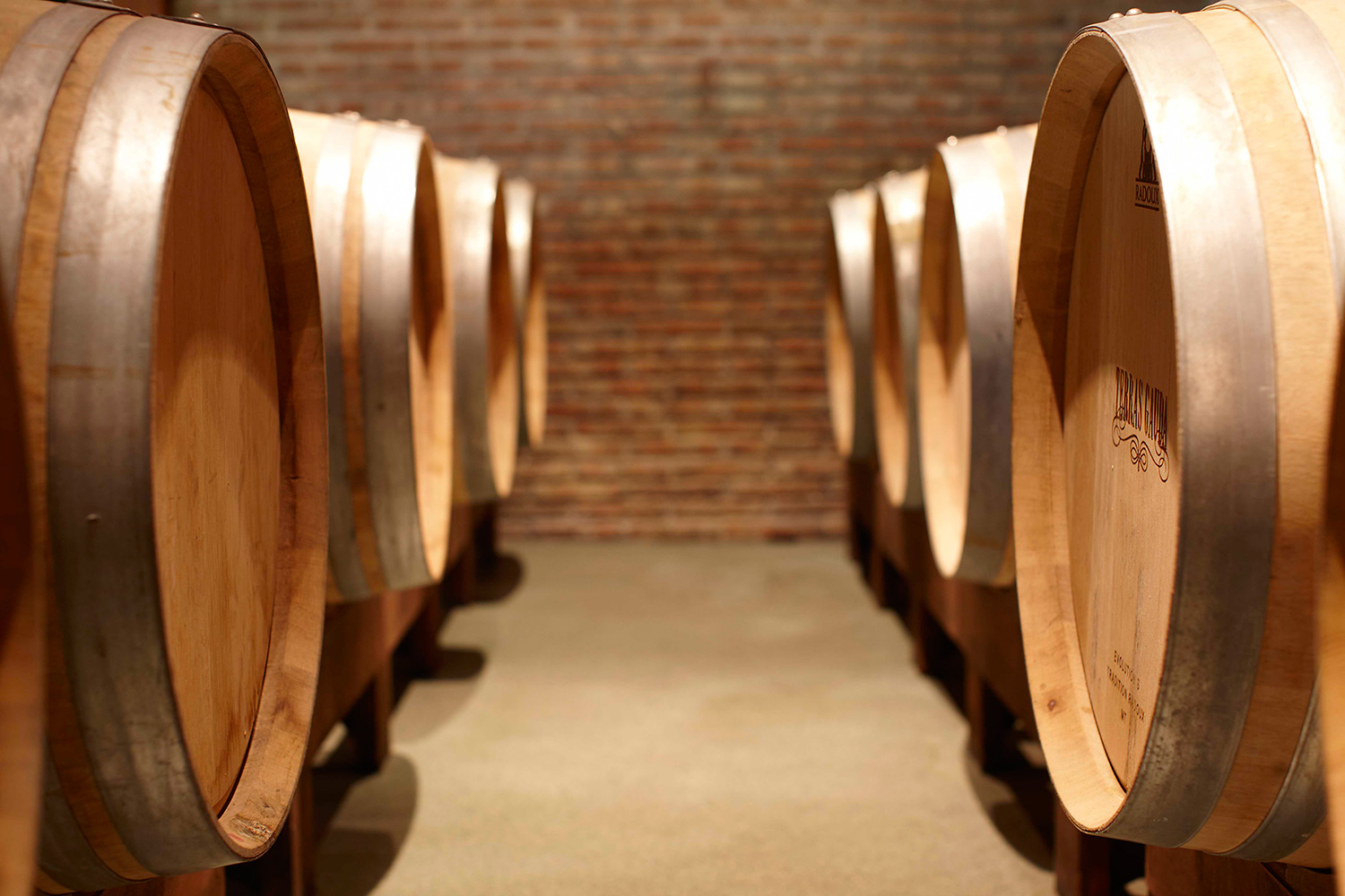 Charla y taller de cata de vino de la FEV