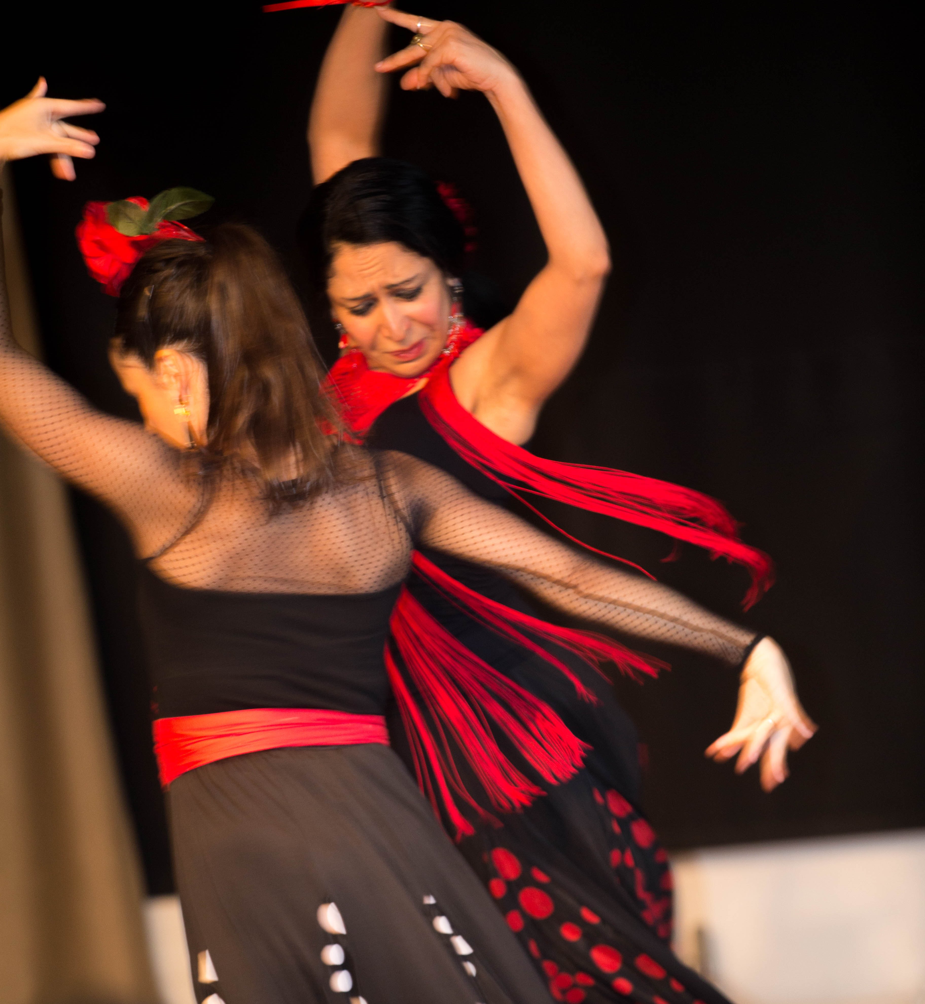 Flamenco. Primera edición