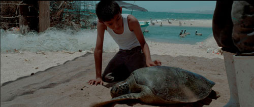 No estás soñando conmigo
