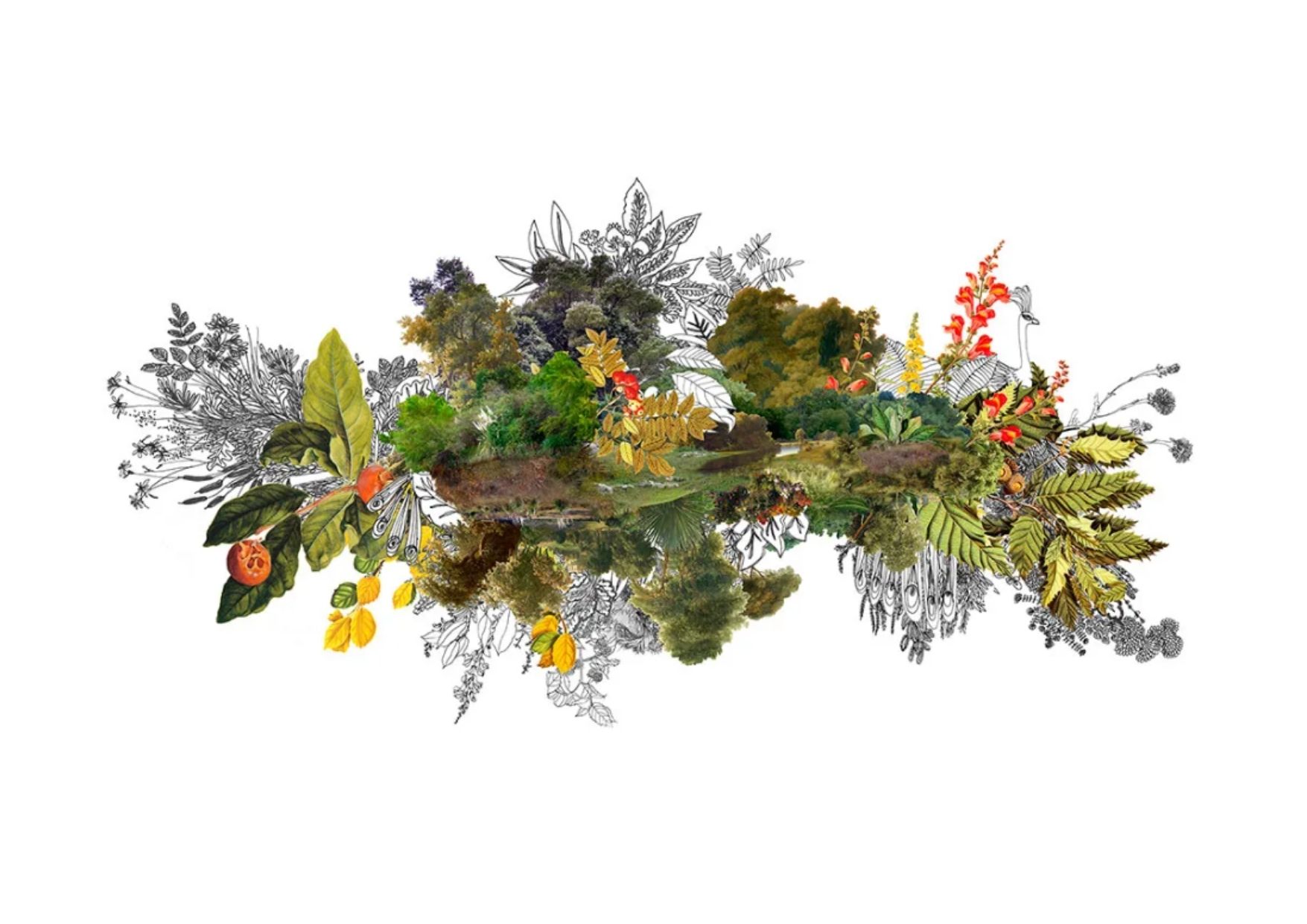 Julia Romano: Gardens in the Gaze