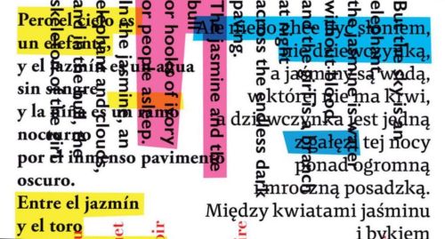 W poszukiwaniu obrazowania i atmosfery oryginału w tłumaczeniu