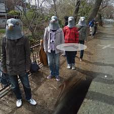 Animales accidentales