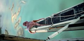 Accidents, Blunders and Calamities