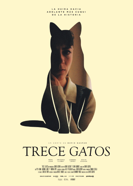 Trece gatos