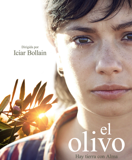 El olivo