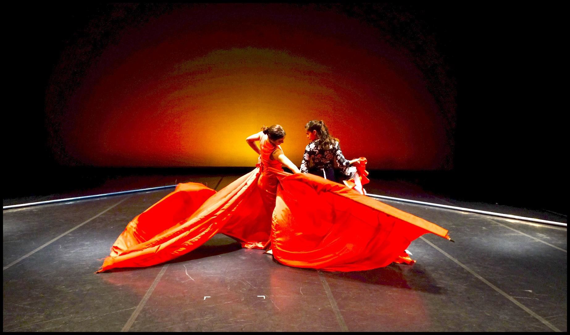 Flamenco-India de Carlos Saura