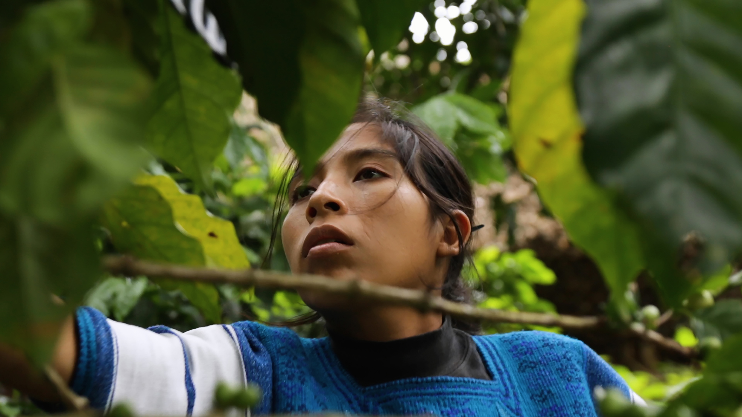 Junax, hilo por hilo