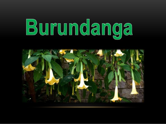 Μπουρουντάνγκα