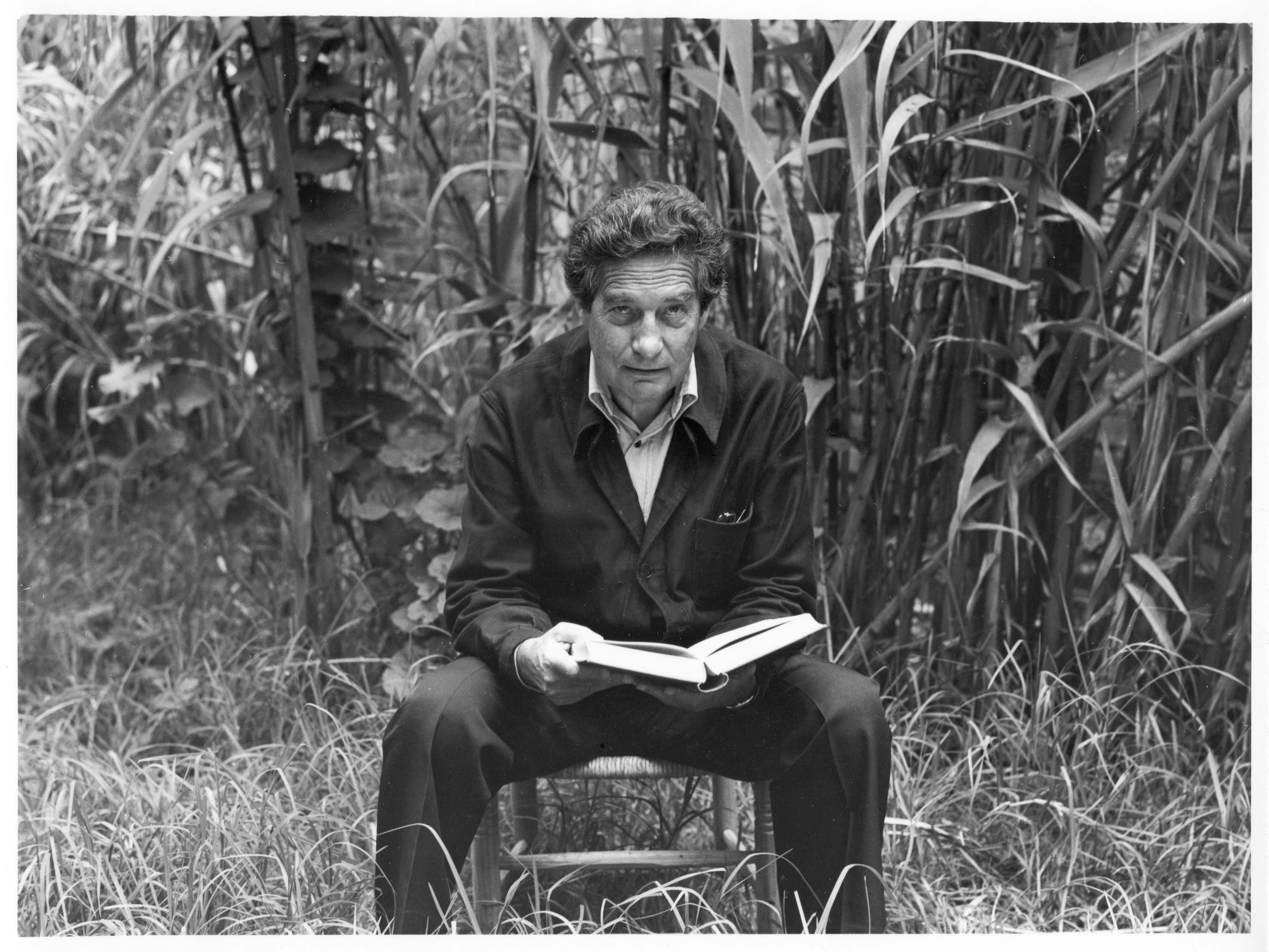 Leamos un poema de Octavio Paz