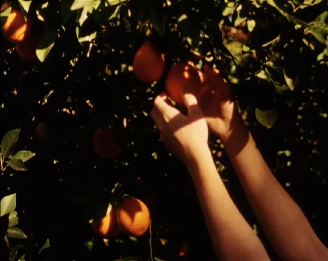 Rassegna. Dialoghi sui paesaggi sociali