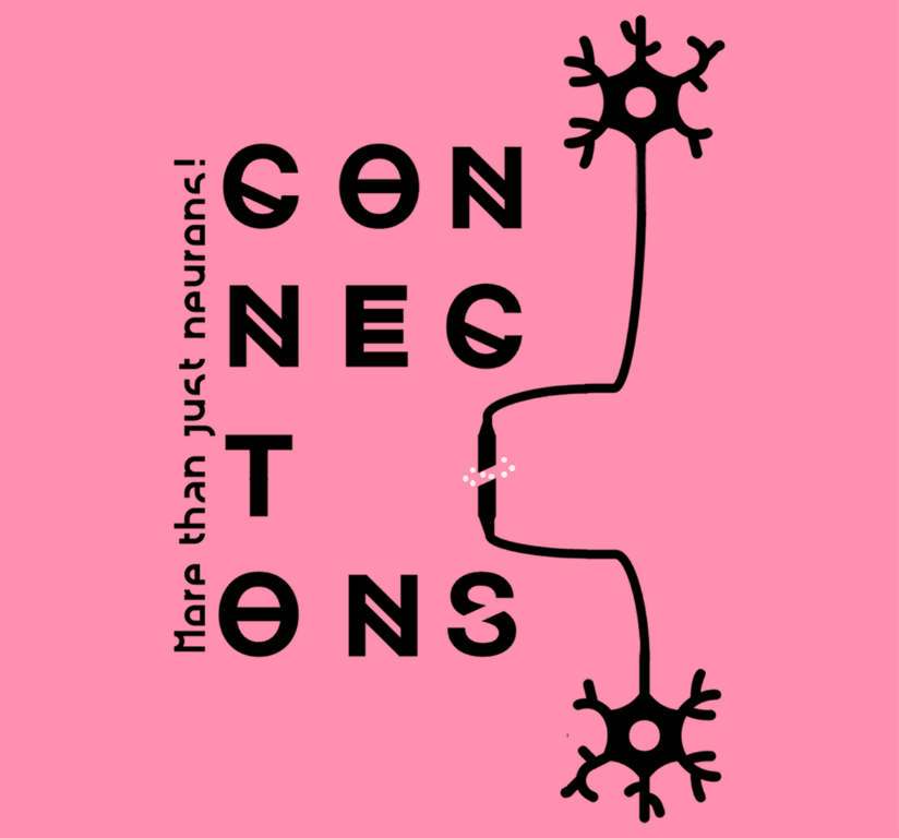 Conexiones, ¡más que neuronas! 