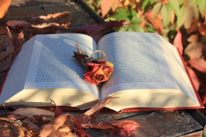 Una historia sencilla (novela), de Leila Guerriero (Argentina)