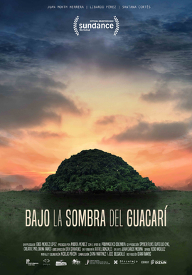 Bajo sombra del Guacarí