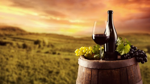 Las rutas del vino en España 