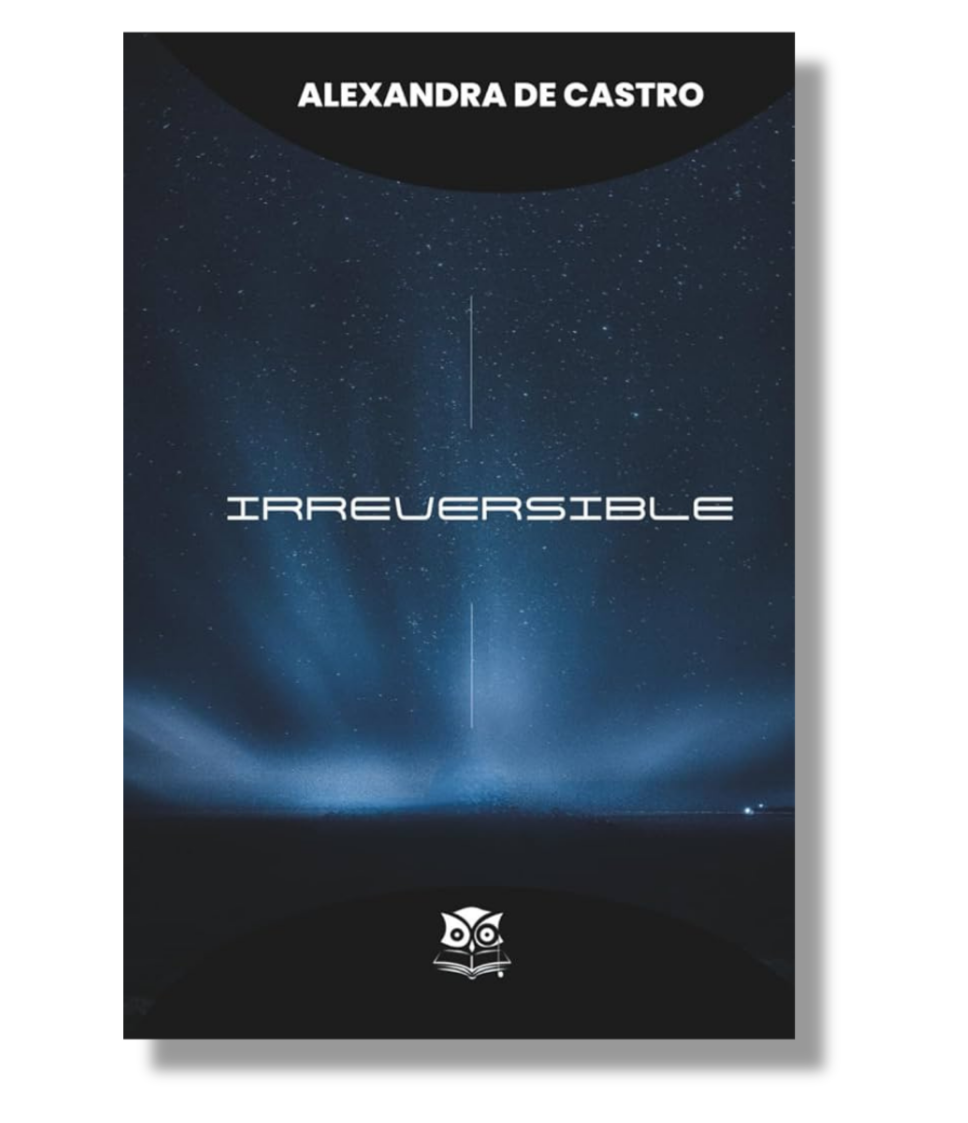 «Irreversible», de Alexandra de Castro