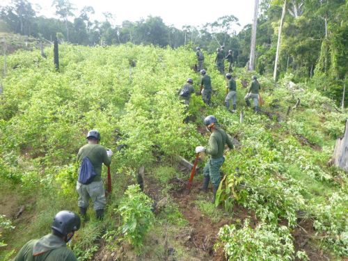 La economía transatlántica de las drogas y sus repercusiones para Europa