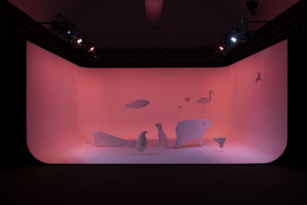 Cooking sections: Salmon Salmon Salmon 