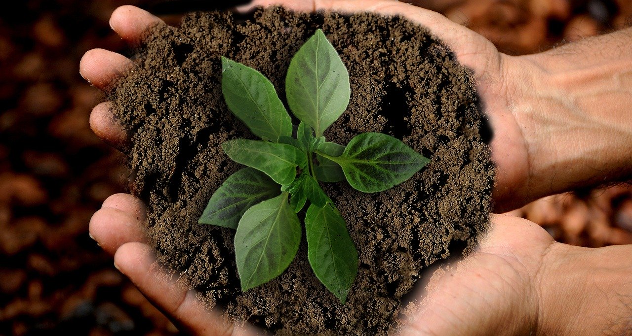 El carbono se transforma en productos de consumo