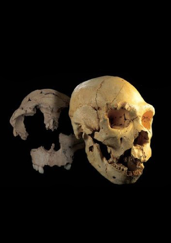 Atapuerca: el misterio de la Evolución Humana