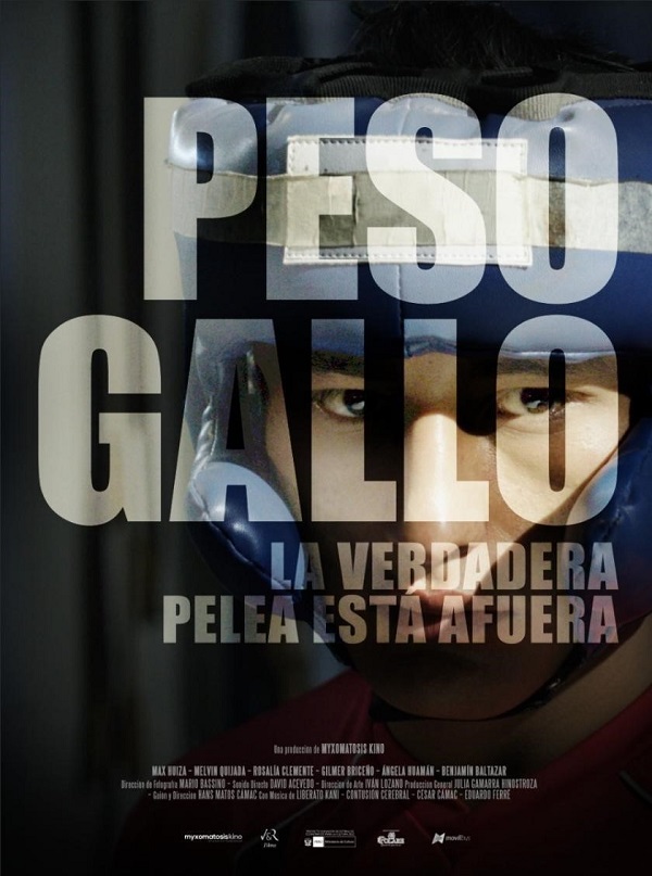 Peso gallo
