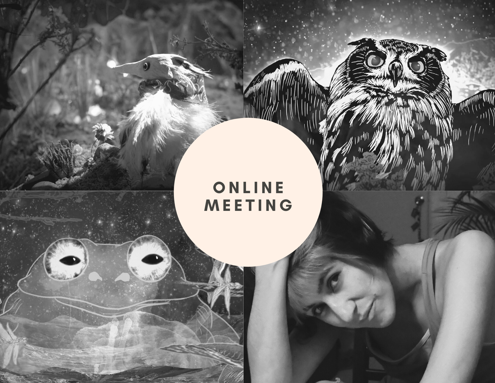 Online meeting: Animation and the environment 