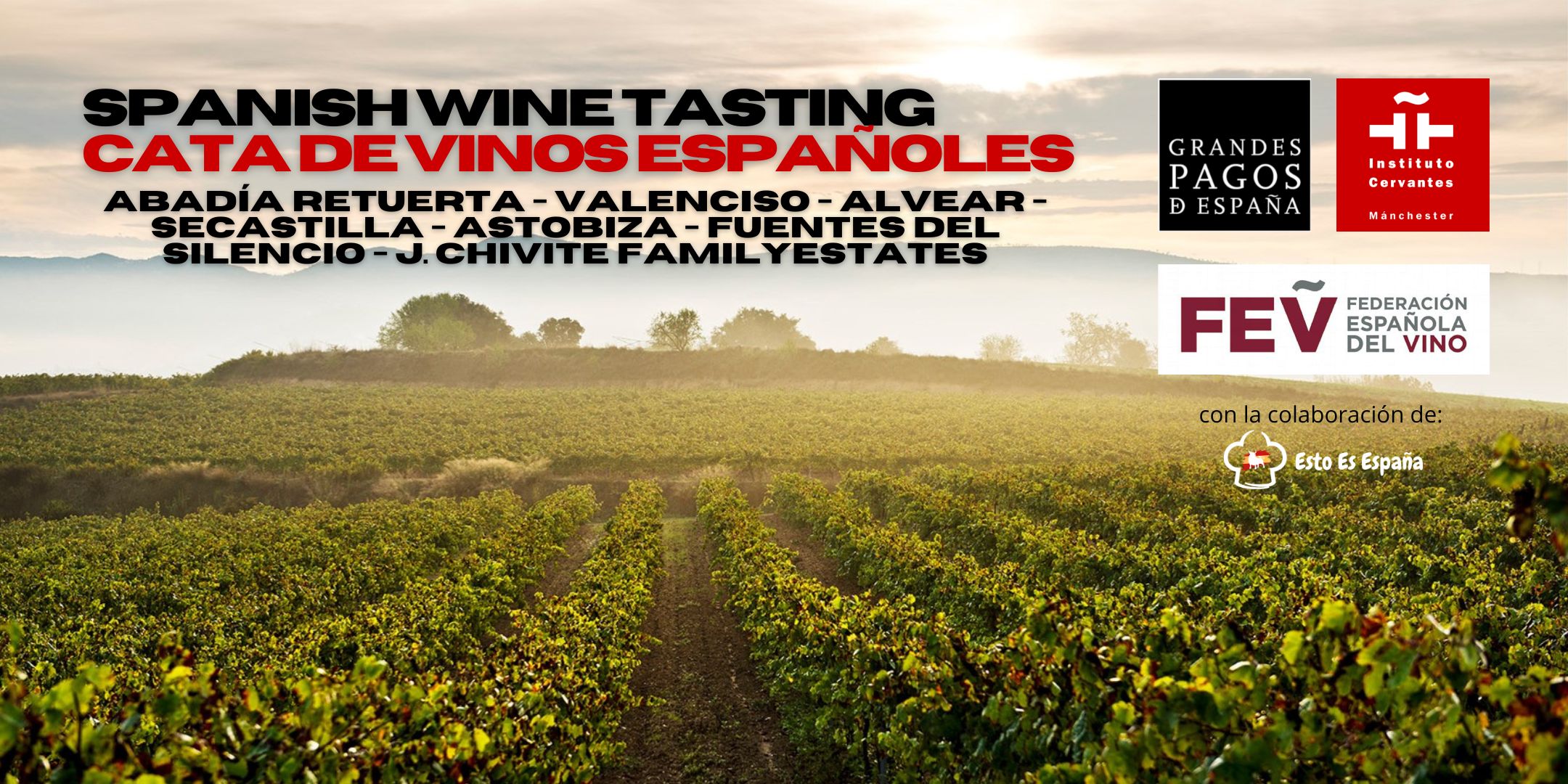 Cata de vinos españoles - Grandes Pagos de España