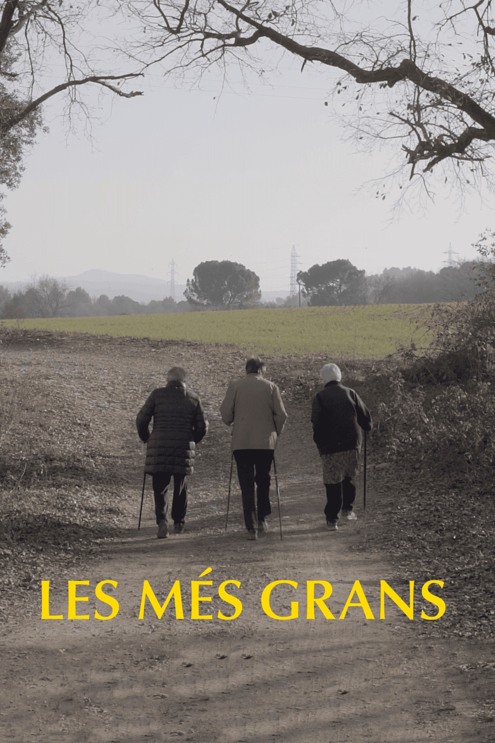 Les més grans
