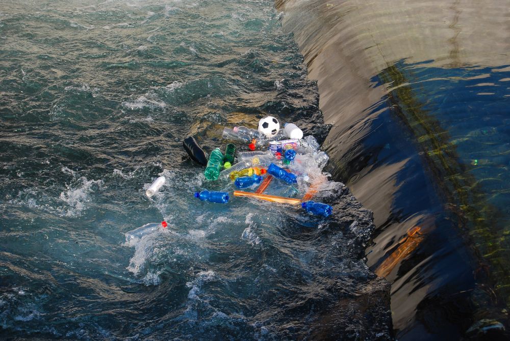 Mujeres en Ciencia: segunda parte