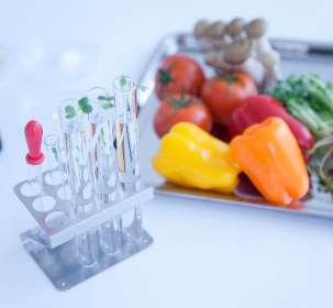 ¡Las moléculas que nos comemos…! Cocinando con probetas