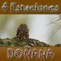 Ντονιάνα, τέσσερις εποχές 