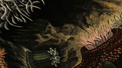 Homenaje a la obra de Philip Henry Gosse