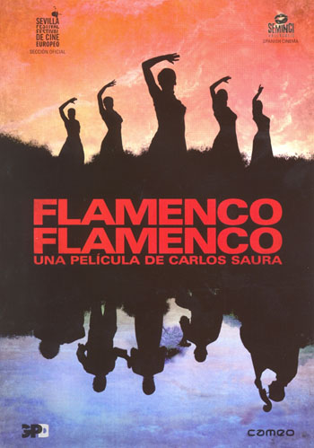 Flamenco, Flamenco