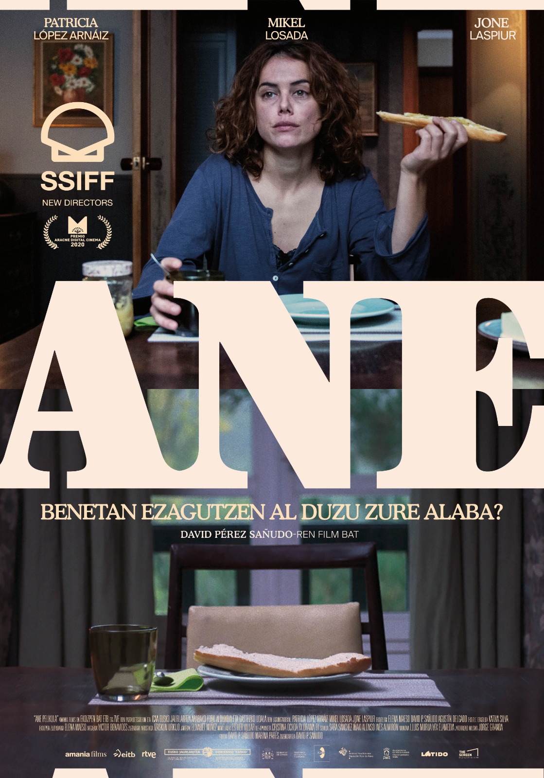 Ane is Missing
