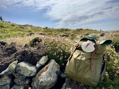 Jan Mela: Peregrino de la esperanza 